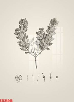 File gốc Tranh sơn dầu phương tây tổng hợp STS74946 (PNG) nền trong suốt