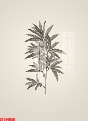 Tải file Tranh sơn dầu phương tây tổng hợp STS74950 (gốc) để in ấn ngay