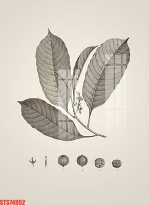 File gốc Tranh sơn dầu phương tây tổng hợp STS74952 (in tráng gương) ốp tường