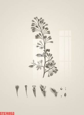 File gốc Tranh sơn dầu phương tây tổng hợp STS74953 (ảnh rõ nét) để in