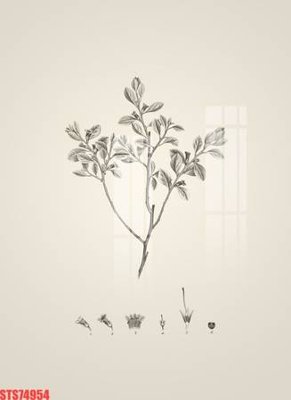 File tranh Tranh sơn dầu phương tây tổng hợp STS74954 (file gốc) chuẩn màu in