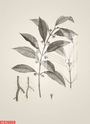 File tranh Tranh sơn dầu phương tây tổng hợp STS74959 (bản gốc) in lụa 5D