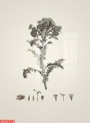 File in trần Tranh sơn dầu phương tây tổng hợp STS74961 (bản gốc) bầu trời