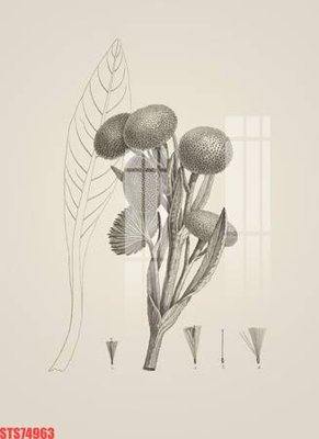 Tải về file tranh gốc Tranh sơn dầu phương tây tổng hợp STS74963 (để in quảng cáo)