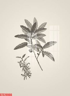 File gốc Tranh sơn dầu phương tây tổng hợp STS74966 (in lụa) tranh mã đáo