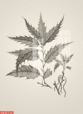 Download file Tranh sơn dầu phương tây tổng hợp STS74970 (gốc) in mica cao cấp