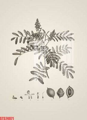 File in trần Tranh sơn dầu phương tây tổng hợp STS74971 (bản gốc) phong cảnh