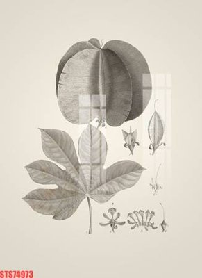 File in trần Tranh sơn dầu phương tây tổng hợp STS74973 (bản gốc) phong cảnh