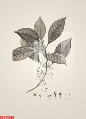 Ảnh mô tả file gốc in mica Tranh sơn dầu phương tây tổng hợp STS74979