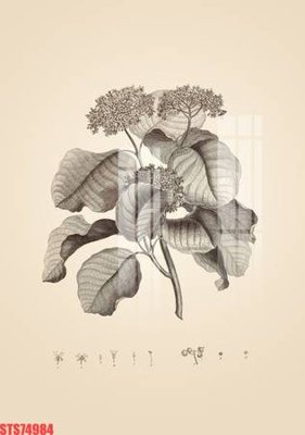 File gốc Tranh sơn dầu phương tây tổng hợp STS74984 (cho in 3D) độc đáo