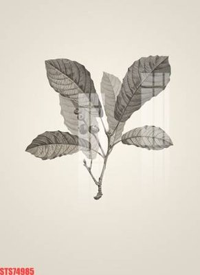 File in trần Tranh sơn dầu phương tây tổng hợp STS74985 (bản gốc) hoa văn