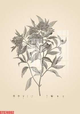 File tranh Tranh sơn dầu phương tây tổng hợp STS74992 (gốc) chủ đề thành phố