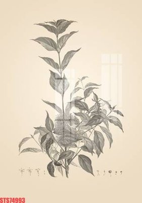 Chi tiết file tranh tráng gương Tranh sơn dầu phương tây tổng hợp STS74993 (ảnh gốc)