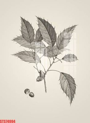 Download file Tranh sơn dầu phương tây tổng hợp STS74994 (gốc) in mica cao cấp