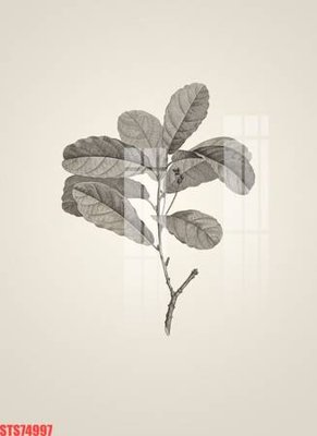 Ảnh mô tả file gốc in mica Tranh sơn dầu phương tây tổng hợp STS74997