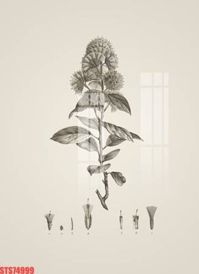 File gốc Tranh sơn dầu phương tây tổng hợp STS74999 (Filetranh.com) Tranh sơn dầu phương tây tổng hợp STS74999