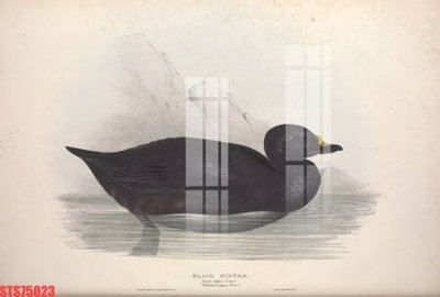 Tải file Tranh sơn dầu phương tây tổng hợp STS75023 (gốc) chủ đề tâm linh