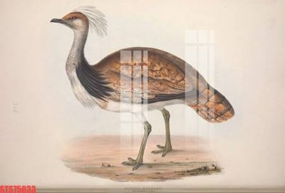 File ảnh Tranh sơn dầu phương tây tổng hợp STS75033 (gốc) in backdrop sự kiện