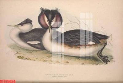 File PSD Tranh sơn dầu phương tây tổng hợp STS75034 (bản gốc) dễ dàng edit