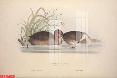 Ảnh gốc Tranh sơn dầu phương tây tổng hợp STS75038 (độ nét cao) in tráng gương