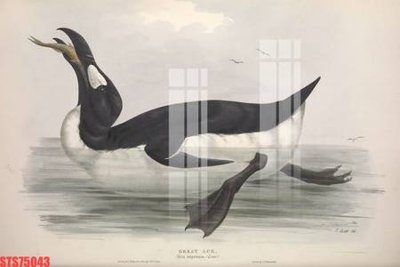 File gốc Tranh sơn dầu phương tây tổng hợp STS75043 (AI/EPS) cho in ấn