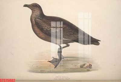 Hình ảnh file gốc in lụa Tranh sơn dầu phương tây tổng hợp STS75082