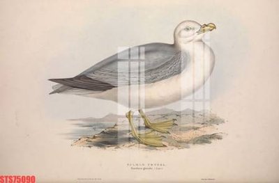 Download file gốc Tranh sơn dầu phương tây tổng hợp STS75090 (dùng cho in ấn)