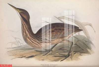 File gốc Tranh sơn dầu phương tây tổng hợp STS75109 (trang trí) phòng làm việc