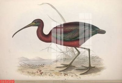 Tải file Tranh sơn dầu phương tây tổng hợp STS75125 (gốc) làm file in ấn