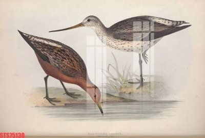 File PSD Tranh sơn dầu phương tây tổng hợp STS75130 (gốc) nhiều lớp (multi-layer)