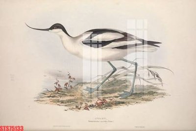 Download file Tranh sơn dầu phương tây tổng hợp STS75133 (gốc) in mica đèn LED