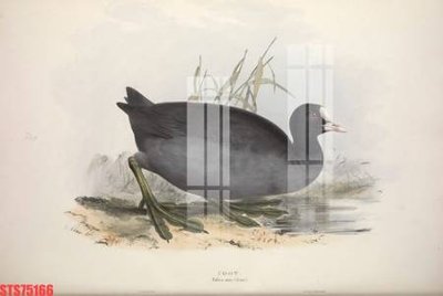 Chi tiết file gốc Tranh sơn dầu phương tây tổng hợp STS75166 (cho in tráng gương)