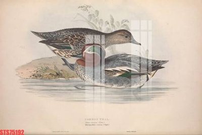 File in lụa Tranh sơn dầu phương tây tổng hợp STS75192 (tân cổ điển) Tranh sơn dầu phương tây tổng hợp STS75192