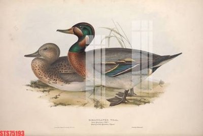 Tải file Tranh sơn dầu phương tây tổng hợp STS75193 (ảnh gốc) file AI/EPS