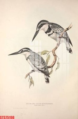 File ảnh Tranh sơn dầu phương tây tổng hợp STS75198 (gốc) in PP, decal