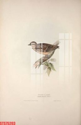 Download file gốc Tranh sơn dầu phương tây tổng hợp STS75203 (in lụa) cao cấp