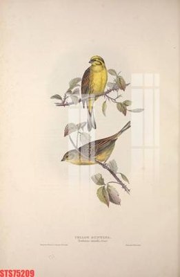 File in mica Tranh sơn dầu phương tây tổng hợp STS75209 (ảnh gốc) đẹp