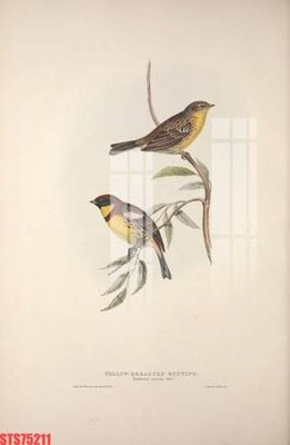 Download file Tranh sơn dầu phương tây tổng hợp STS75211 (chuẩn in) Tranh sơn dầu phương tây tổng hợp STS75211