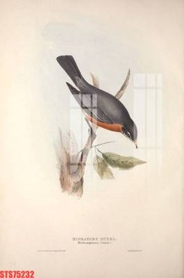 Tệp tin gốc Tranh sơn dầu phương tây tổng hợp STS75232 (chất lượng) Tranh sơn dầu phương tây tổng hợp STS75232