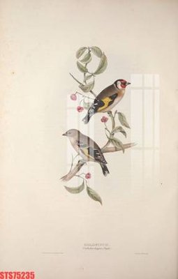 File PSD Tranh sơn dầu phương tây tổng hợp STS75235 (nguyên bản) cho thiết kế