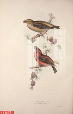 File in mica Tranh sơn dầu phương tây tổng hợp STS75240 (bản gốc) siêu trong