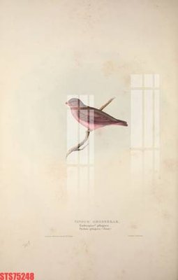 File tranh Tranh sơn dầu phương tây tổng hợp STS75248 (file gốc) chuẩn màu in