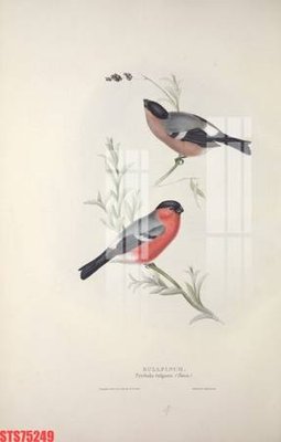 File gốc Tranh sơn dầu phương tây tổng hợp STS75249 (in lụa) hoa văn cổ điển