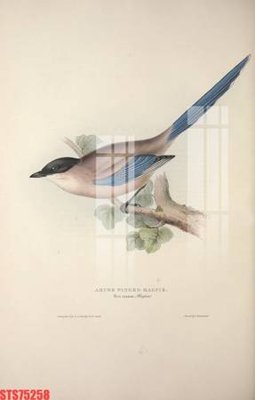 File tranh Tranh sơn dầu phương tây tổng hợp STS75258 (gốc) chủ đề con người