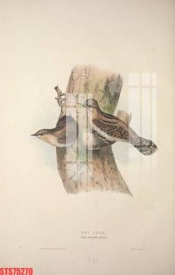 Tệp tin gốc Tranh sơn dầu phương tây tổng hợp STS75270 (chất lượng) Tranh sơn dầu phương tây tổng hợp STS75270