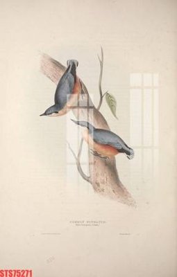 File gốc Tranh sơn dầu phương tây tổng hợp STS75271 (in lụa) họa tiết 3D