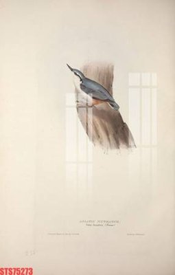 File gốc in ấn Tranh sơn dầu phương tây tổng hợp STS75273 (sẵn sàng tải về)