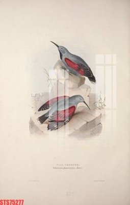 File gốc Tranh sơn dầu phương tây tổng hợp STS75277 (dành cho trang trí nội thất)