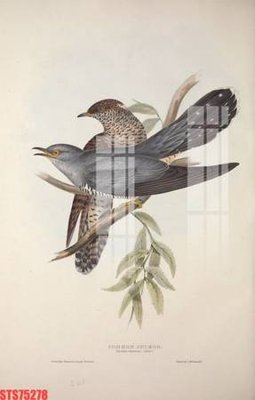 File tranh Tranh sơn dầu phương tây tổng hợp STS75278 (file gốc) chủ đề phong thủy