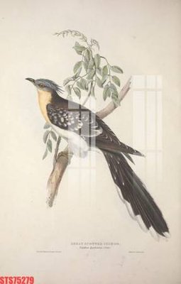 File in ấn Tranh sơn dầu phương tây tổng hợp STS75279 (bản gốc) chất lượng cao